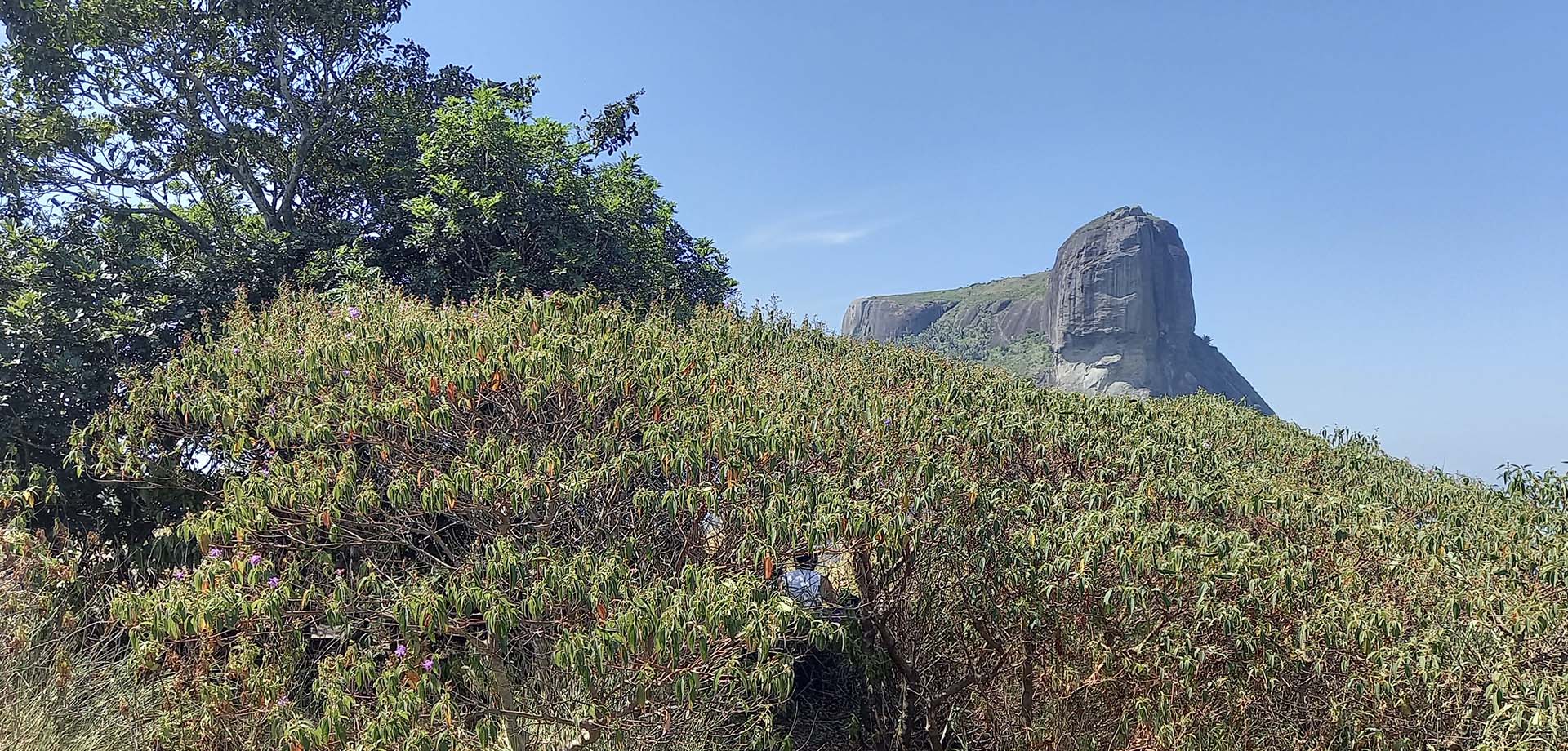 Visites à Rio de Janeiro